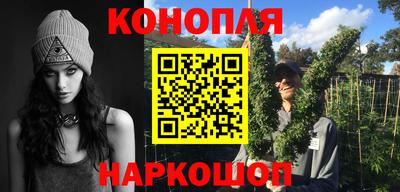 индика Новозыбков
