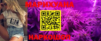 индика Новозыбков