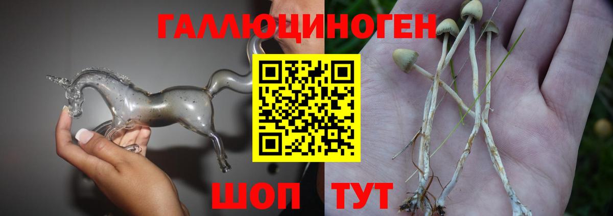 Псилоцибиновые грибы Magic Shrooms Ухта